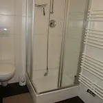 Im Reetdachhaus Hallerhus Apartment Ahrenviol