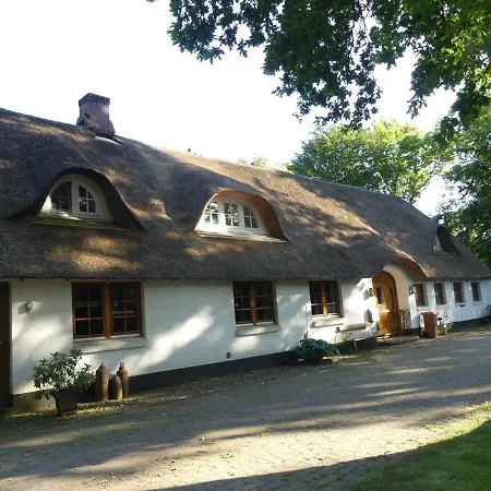 Hallerhus Ahrenviol