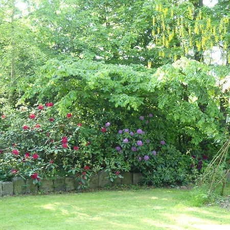 Apartment Im Reetdachhaus Hallerhus