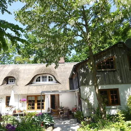 Im Reetdachhaus Hallerhus 아파트 *