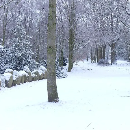 Im Reetdachhaus Hallerhus Apartment