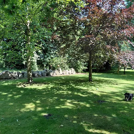 Im Reetdachhaus Hallerhus Ahrenviol