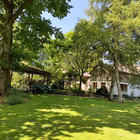 Im Reetdachhaus Hallerhus * Ahrenviol