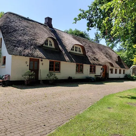 Im Reetdachhaus Hallerhus