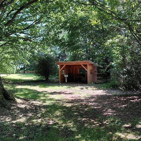 Apartment Im Reetdachhaus Hallerhus