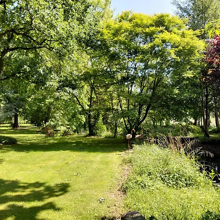 Im Reetdachhaus Hallerhus Apartment *