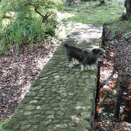 Apartment Im Reetdachhaus Hallerhus *