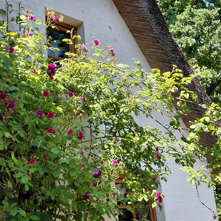 Apartment Im Reetdachhaus Hallerhus Ahrenviol