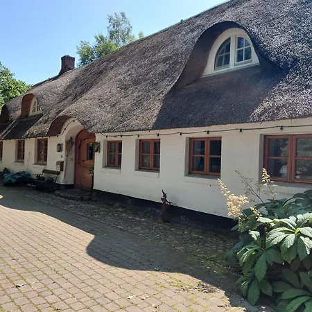 Im Reetdachhaus Hallerhus Ahrenviol