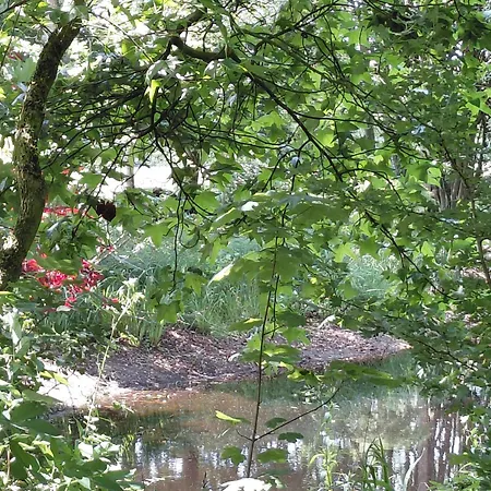 Apartment Im Reetdachhaus Hallerhus