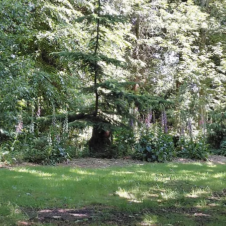 Apartment Im Reetdachhaus Hallerhus *