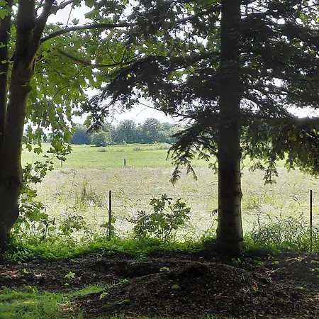 Im Reetdachhaus Hallerhus Ahrenviol