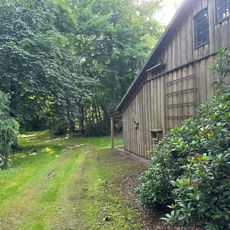 Im Reetdachhaus Hallerhus Apartman