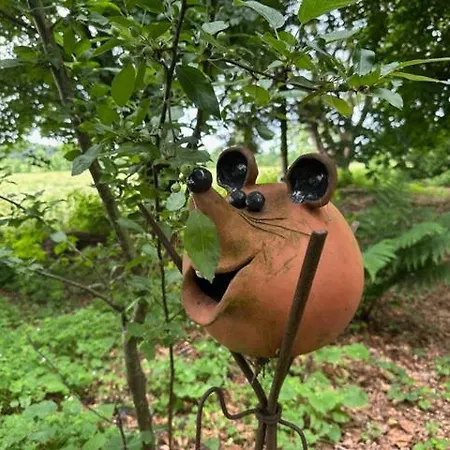 Im Reetdachhaus Hallerhus