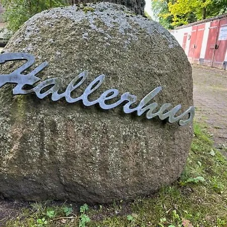 아파트 Im Reetdachhaus Hallerhus *