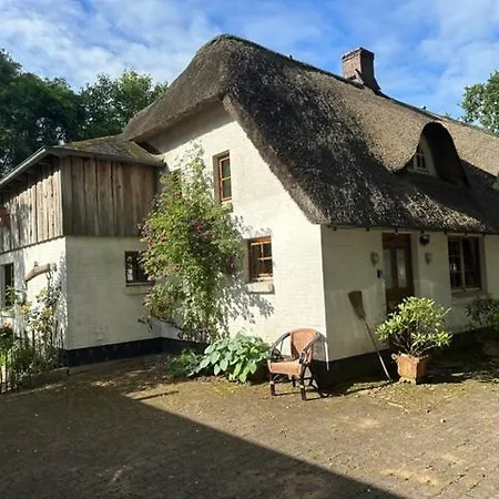 아파트 Im Reetdachhaus Hallerhus Ahrenviol