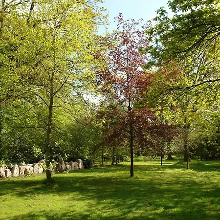 Im Reetdachhaus Hallerhus Apartment *